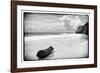 ¡Viva Mexico! B&W Collection - Tree Trunk on a Caribbean Beach-Philippe Hugonnard-Framed Photographic Print