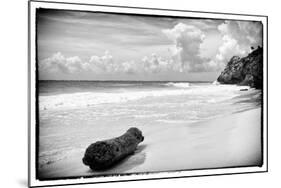 ¡Viva Mexico! B&W Collection - Tree Trunk on a Caribbean Beach-Philippe Hugonnard-Mounted Photographic Print