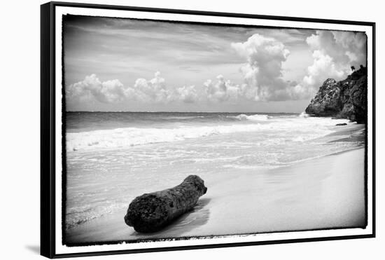 ¡Viva Mexico! B&W Collection - Tree Trunk on a Caribbean Beach-Philippe Hugonnard-Framed Stretched Canvas