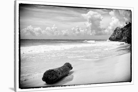 ¡Viva Mexico! B&W Collection - Tree Trunk on a Caribbean Beach-Philippe Hugonnard-Stretched Canvas
