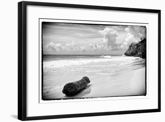 ¡Viva Mexico! B&W Collection - Tree Trunk on a Caribbean Beach-Philippe Hugonnard-Framed Photographic Print