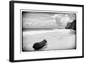 ¡Viva Mexico! B&W Collection - Tree Trunk on a Caribbean Beach-Philippe Hugonnard-Framed Photographic Print