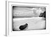 ¡Viva Mexico! B&W Collection - Tree Trunk on a Caribbean Beach-Philippe Hugonnard-Framed Photographic Print