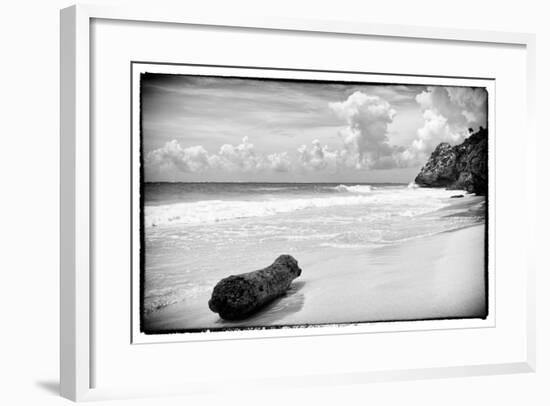 ¡Viva Mexico! B&W Collection - Tree Trunk on a Caribbean Beach-Philippe Hugonnard-Framed Photographic Print