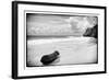 ¡Viva Mexico! B&W Collection - Tree Trunk on a Caribbean Beach-Philippe Hugonnard-Framed Photographic Print