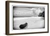 ¡Viva Mexico! B&W Collection - Tree Trunk on a Caribbean Beach-Philippe Hugonnard-Framed Photographic Print