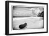 ¡Viva Mexico! B&W Collection - Tree Trunk on a Caribbean Beach-Philippe Hugonnard-Framed Photographic Print