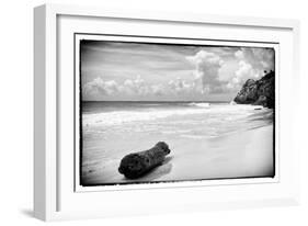 ¡Viva Mexico! B&W Collection - Tree Trunk on a Caribbean Beach-Philippe Hugonnard-Framed Photographic Print