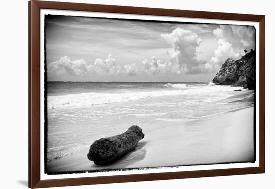 ¡Viva Mexico! B&W Collection - Tree Trunk on a Caribbean Beach-Philippe Hugonnard-Framed Photographic Print