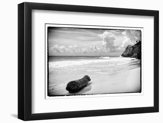 ¡Viva Mexico! B&W Collection - Tree Trunk on a Caribbean Beach-Philippe Hugonnard-Framed Photographic Print