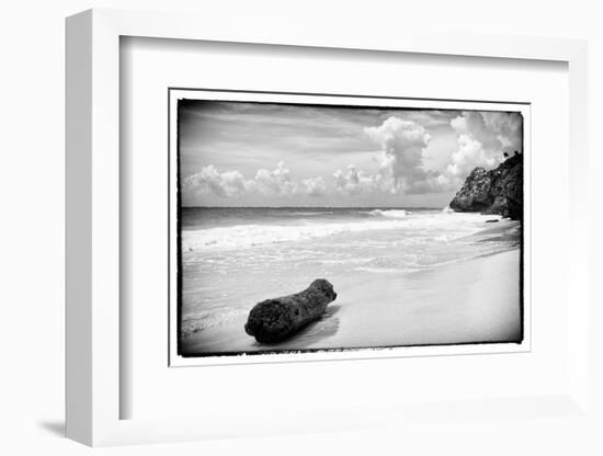 ¡Viva Mexico! B&W Collection - Tree Trunk on a Caribbean Beach-Philippe Hugonnard-Framed Photographic Print