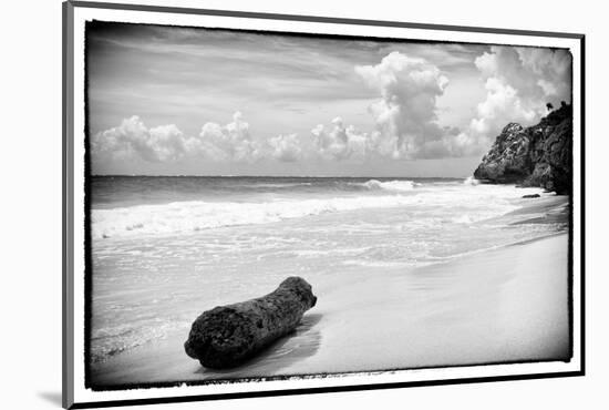¡Viva Mexico! B&W Collection - Tree Trunk on a Caribbean Beach-Philippe Hugonnard-Mounted Photographic Print