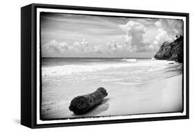 ¡Viva Mexico! B&W Collection - Tree Trunk on a Caribbean Beach-Philippe Hugonnard-Framed Stretched Canvas