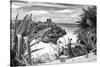 ?Viva Mexico! B&W Collection - Tulum Riviera Maya IX-Philippe Hugonnard-Stretched Canvas