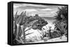 ?Viva Mexico! B&W Collection - Tulum Riviera Maya IX-Philippe Hugonnard-Framed Stretched Canvas