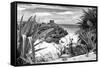 ?Viva Mexico! B&W Collection - Tulum Riviera Maya IX-Philippe Hugonnard-Framed Stretched Canvas