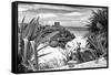 ?Viva Mexico! B&W Collection - Tulum Riviera Maya IX-Philippe Hugonnard-Framed Stretched Canvas