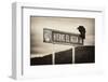 ¡Viva Mexico! B&W Collection - Vulture-Philippe Hugonnard-Framed Photographic Print