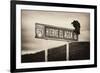 ¡Viva Mexico! B&W Collection - Vulture-Philippe Hugonnard-Framed Photographic Print