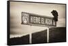 ¡Viva Mexico! B&W Collection - Vulture-Philippe Hugonnard-Framed Stretched Canvas