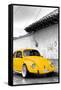 ¡Viva Mexico! B&W Collection - Yellow VW Beetle in San Cristobal de Las Casas-Philippe Hugonnard-Framed Stretched Canvas