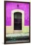 ¡Viva Mexico! Collection - 19e Door and Plum Wall-Philippe Hugonnard-Framed Photographic Print