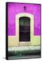 ¡Viva Mexico! Collection - 19e Door and Plum Wall-Philippe Hugonnard-Framed Stretched Canvas