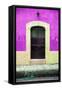 ¡Viva Mexico! Collection - 19e Door and Plum Wall-Philippe Hugonnard-Framed Stretched Canvas