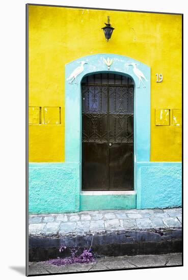 ?Viva Mexico! Collection - 19e Door and Yellow Wall-Philippe Hugonnard-Mounted Photographic Print