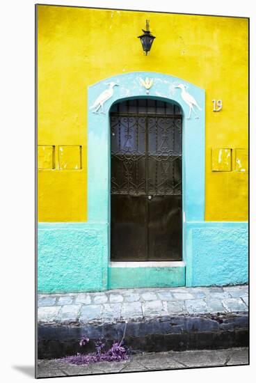 ?Viva Mexico! Collection - 19e Door and Yellow Wall-Philippe Hugonnard-Mounted Photographic Print