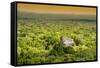 ¡Viva Mexico! Collection - Ancient Maya City within the jungle at Sunset - Calakmul-Philippe Hugonnard-Framed Stretched Canvas