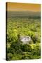 ¡Viva Mexico! Collection - Ancient Maya City within the jungle at Sunset II - Calakmul-Philippe Hugonnard-Stretched Canvas
