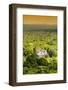 ¡Viva Mexico! Collection - Ancient Maya City within the jungle at Sunset II - Calakmul-Philippe Hugonnard-Framed Photographic Print