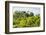 ¡Viva Mexico! Collection - Ancient Maya City within the jungle - Calakmul-Philippe Hugonnard-Framed Photographic Print