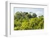 ¡Viva Mexico! Collection - Ancient Maya City within the jungle - Calakmul-Philippe Hugonnard-Framed Photographic Print