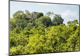 ¡Viva Mexico! Collection - Ancient Maya City within the jungle - Calakmul-Philippe Hugonnard-Mounted Photographic Print