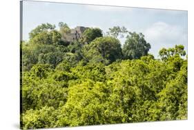 ¡Viva Mexico! Collection - Ancient Maya City within the jungle - Calakmul-Philippe Hugonnard-Stretched Canvas