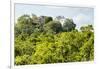 ¡Viva Mexico! Collection - Ancient Maya City within the jungle - Calakmul-Philippe Hugonnard-Framed Photographic Print