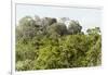 ¡Viva Mexico! Collection - Ancient Maya City within the jungle II - Calakmul-Philippe Hugonnard-Framed Photographic Print