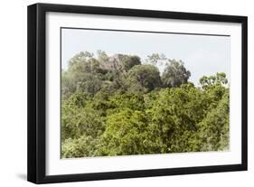 ¡Viva Mexico! Collection - Ancient Maya City within the jungle II - Calakmul-Philippe Hugonnard-Framed Photographic Print