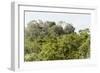 ¡Viva Mexico! Collection - Ancient Maya City within the jungle II - Calakmul-Philippe Hugonnard-Framed Photographic Print