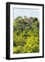 ¡Viva Mexico! Collection - Ancient Maya City within the jungle III - Calakmul-Philippe Hugonnard-Framed Photographic Print