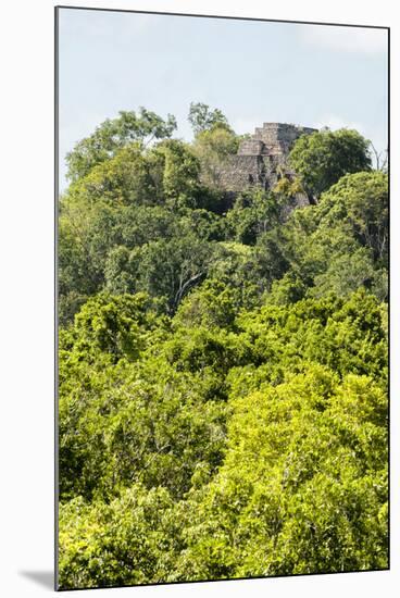 ¡Viva Mexico! Collection - Ancient Maya City within the jungle III - Calakmul-Philippe Hugonnard-Mounted Photographic Print