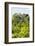 ¡Viva Mexico! Collection - Ancient Maya City within the jungle III - Calakmul-Philippe Hugonnard-Framed Photographic Print