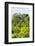 ¡Viva Mexico! Collection - Ancient Maya City within the jungle III - Calakmul-Philippe Hugonnard-Framed Photographic Print