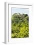 ¡Viva Mexico! Collection - Ancient Maya City within the jungle III - Calakmul-Philippe Hugonnard-Framed Photographic Print