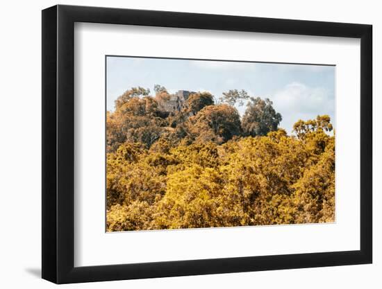 ¡Viva Mexico! Collection - Ancient Maya City within the jungle in autumn - Calakmul-Philippe Hugonnard-Framed Photographic Print