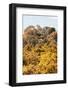 ¡Viva Mexico! Collection - Ancient Maya City within the jungle in autumn II - Calakmul-Philippe Hugonnard-Framed Photographic Print