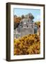 ¡Viva Mexico! Collection - Ancient Maya City within the jungle in Autumn of Calakmul II-Philippe Hugonnard-Framed Photographic Print