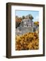 ¡Viva Mexico! Collection - Ancient Maya City within the jungle in Autumn of Calakmul II-Philippe Hugonnard-Framed Photographic Print